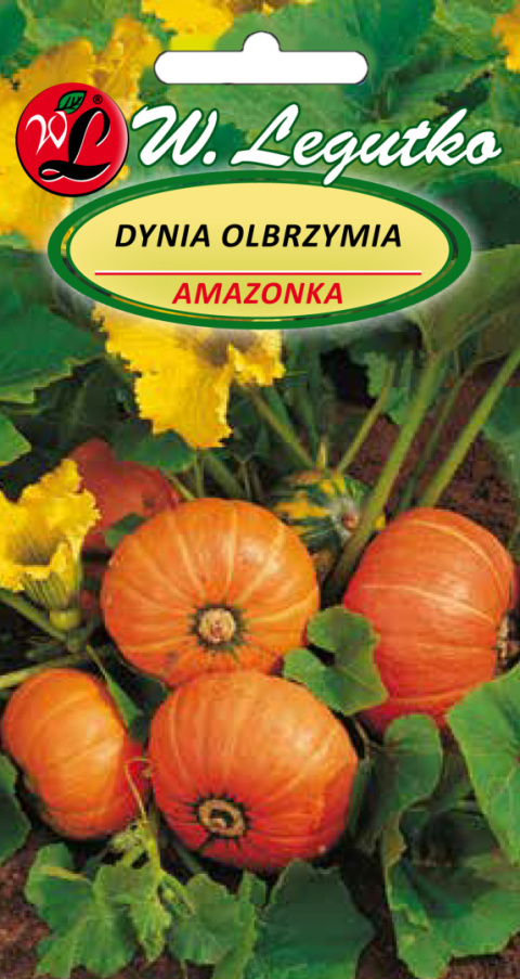 Dynia olbrzymia Amazonka - pomarańczowa 3.00g