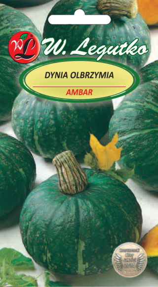 Dynia olbrzymia Ambar - zielona, owoc 2-4 kg 3.00g