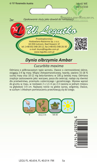 Dynia olbrzymia Ambar - zielona, owoc 2-4 kg 3.00g