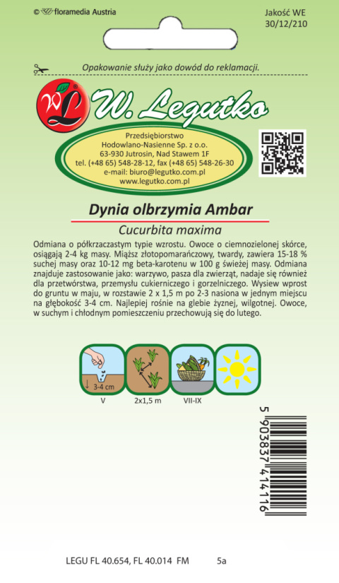 Dynia olbrzymia Ambar - zielona, owoc 2-4 kg 3.00g