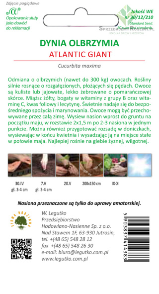 Dynia olbrzymia Atlantic Giant - kulista, pomarańczowa 3.00g