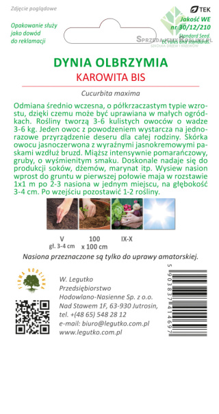 Dynia olbrzymia Karowita Bis - pomarańczowa, owoc ok.3-6 kg 3.00G