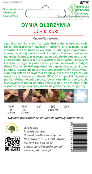 Dynia olbrzymia Uchiki Kuri, typ Hokkaido- czerwonopomarańczowa 3.00g