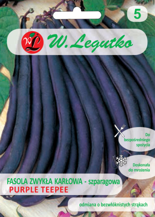 Fasola zwykła szparagowa karłowa fioletowostrąkowa Purple Teepee - wczesna 30.00+10.00G