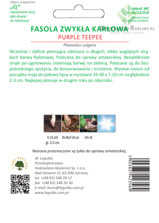 Fasola zwykła szparagowa karłowa fioletowostrąkowa Purple Teepee - wczesna 30.00+10.00G