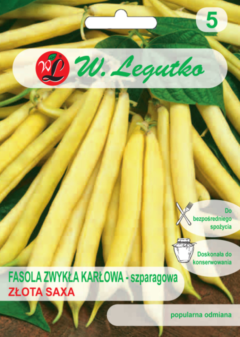 Fasola zwykła szparagowa karłowa żółtostrąkowa Złota Saxa - wczesna 40.00G