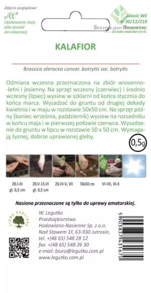 Kalafior Bola de nieve X - wczesna - róża biała 0.50G