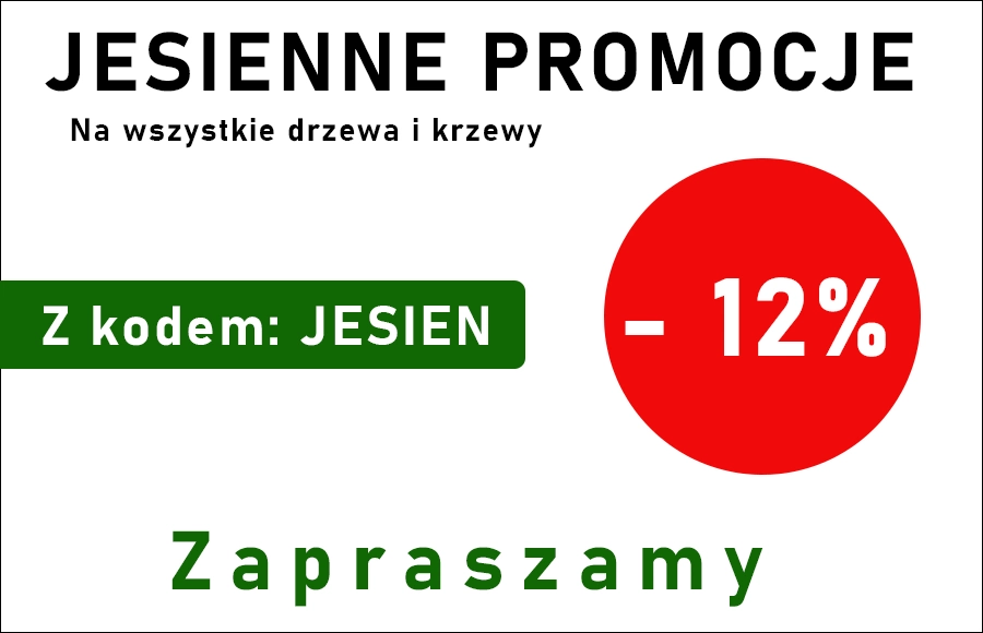 Jesienne Promocje